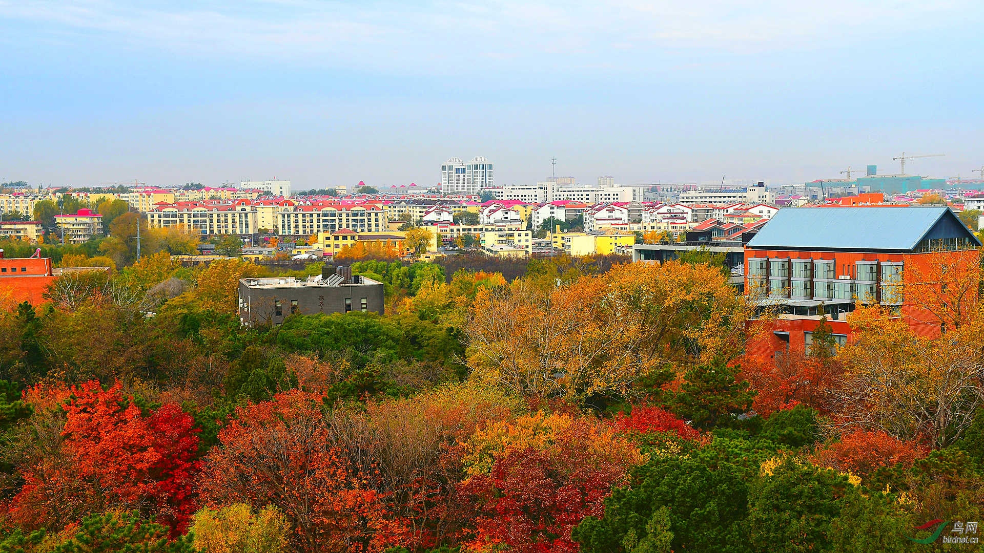 20191102_133936_����.jpg
