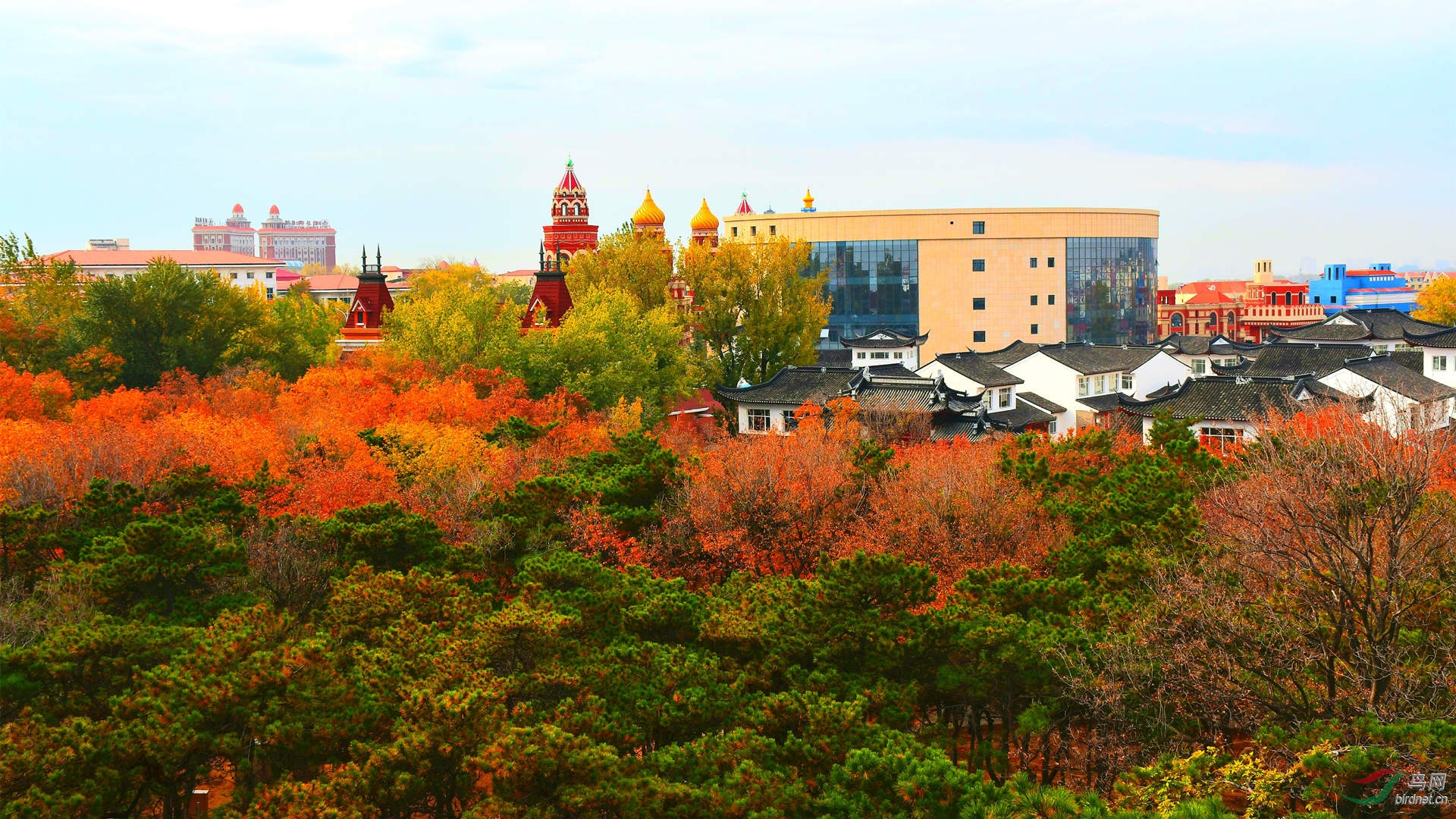 20191102_134003_����.jpg