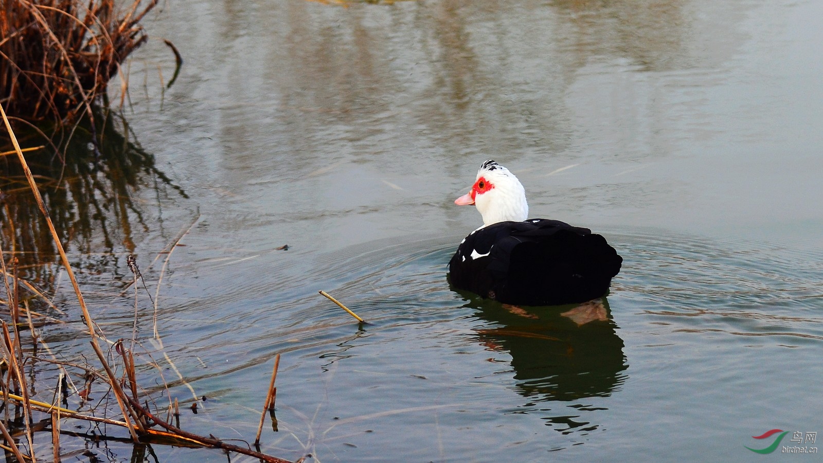 DSC_4139.JPG