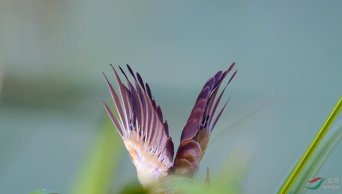 DSC_4886.JPG