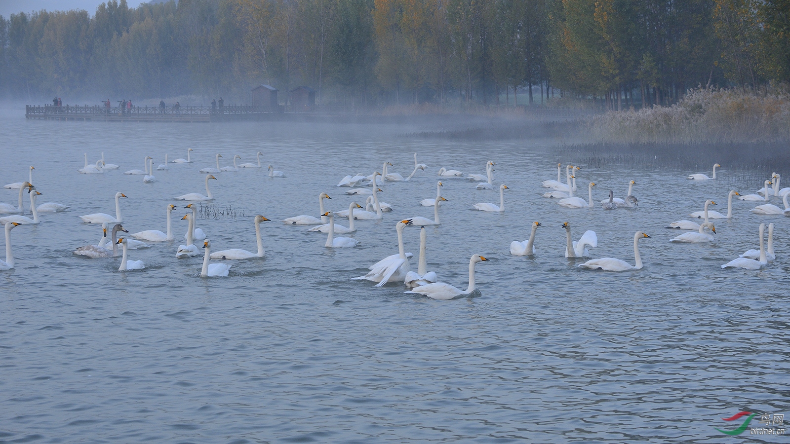 _D8A5785_11682a.jpg