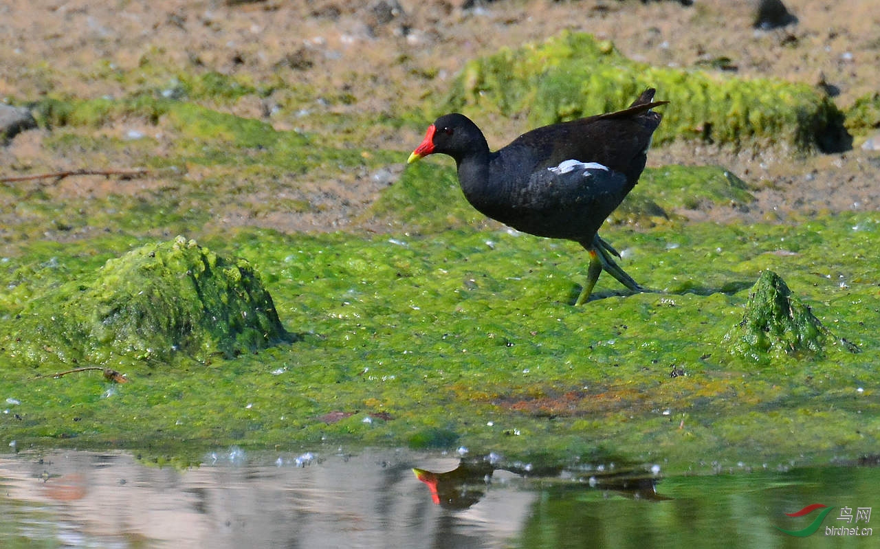DSC_6993.JPG