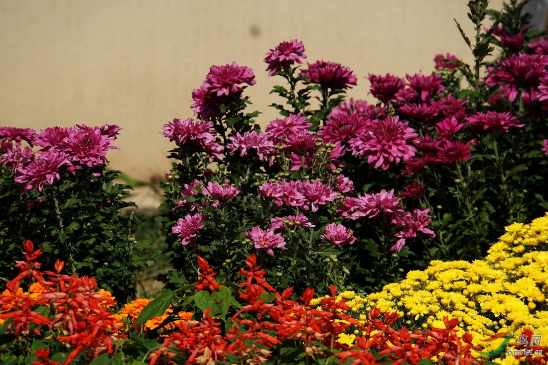 DSC07356.JPG