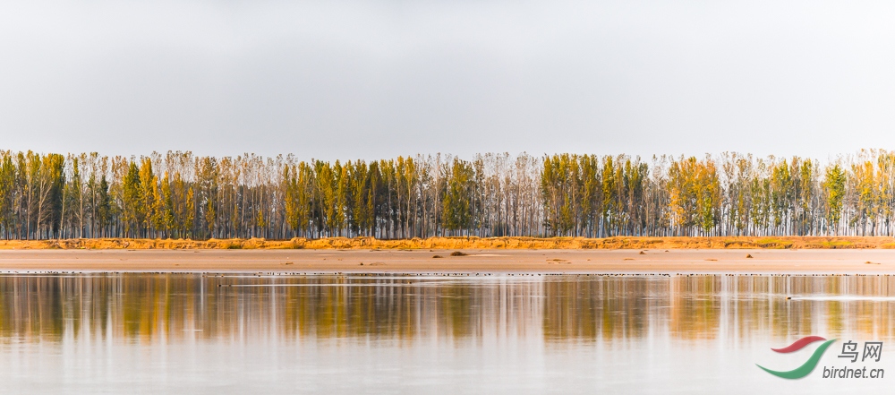 20191104-_DSC8106-Pano-5.jpg