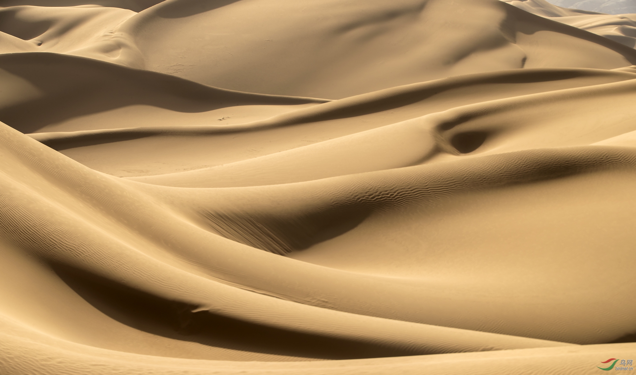 大漠沙如雪,燕山月似钩.