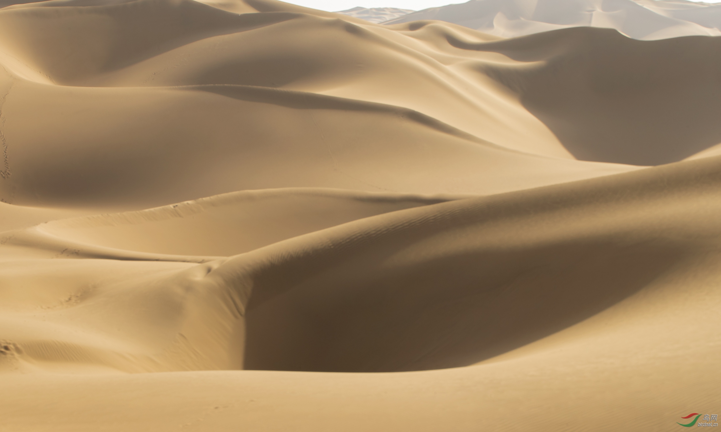 大漠沙如雪,燕山月似钩.