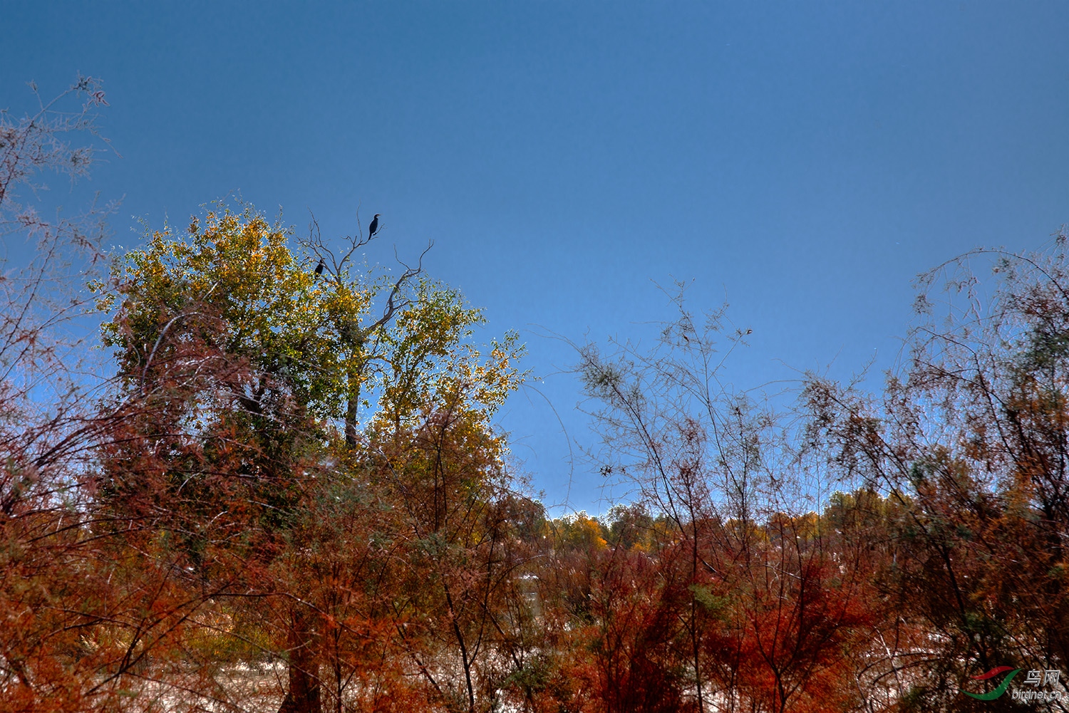 2018_DSC2227.jpg