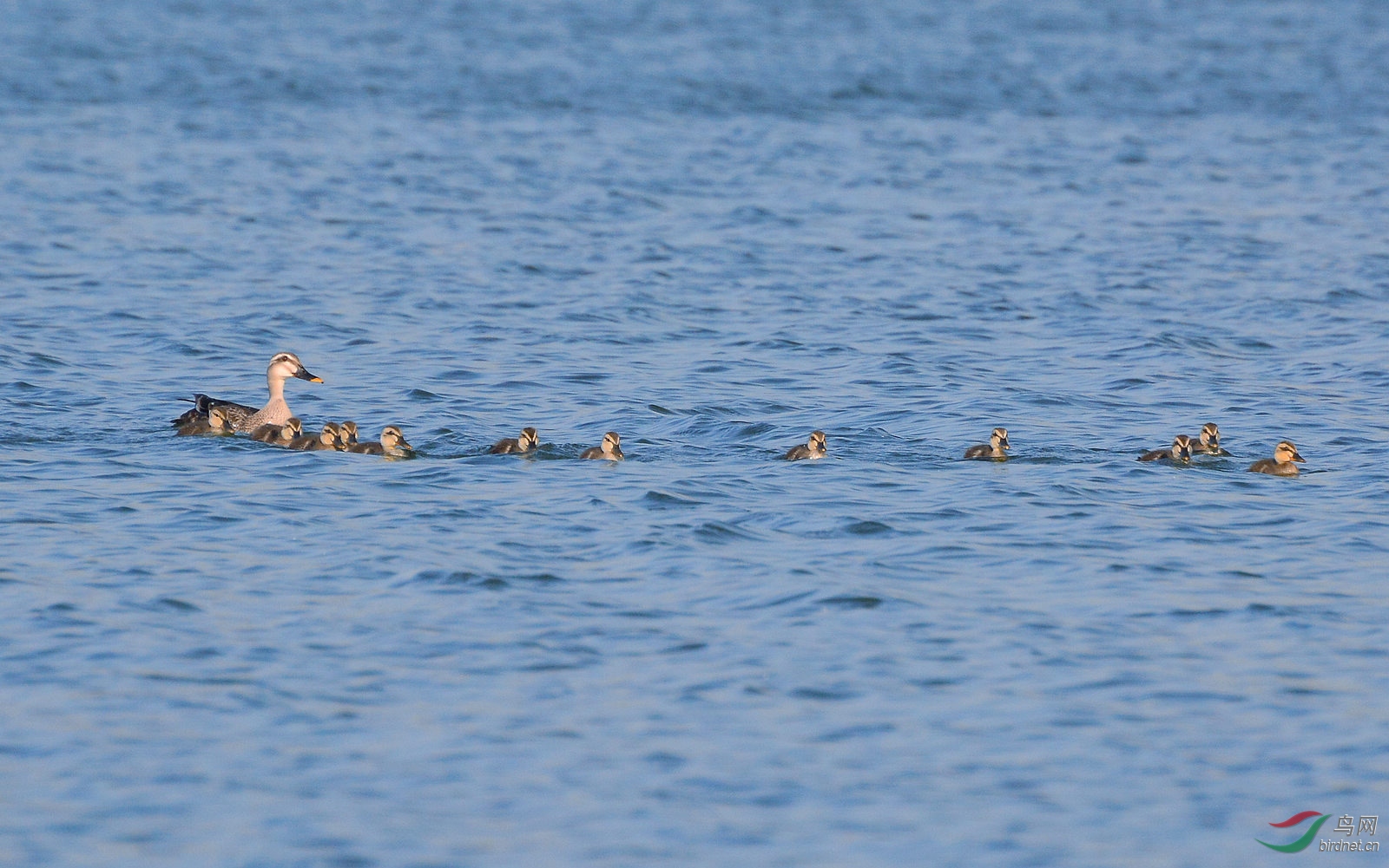DSC_8986.JPG