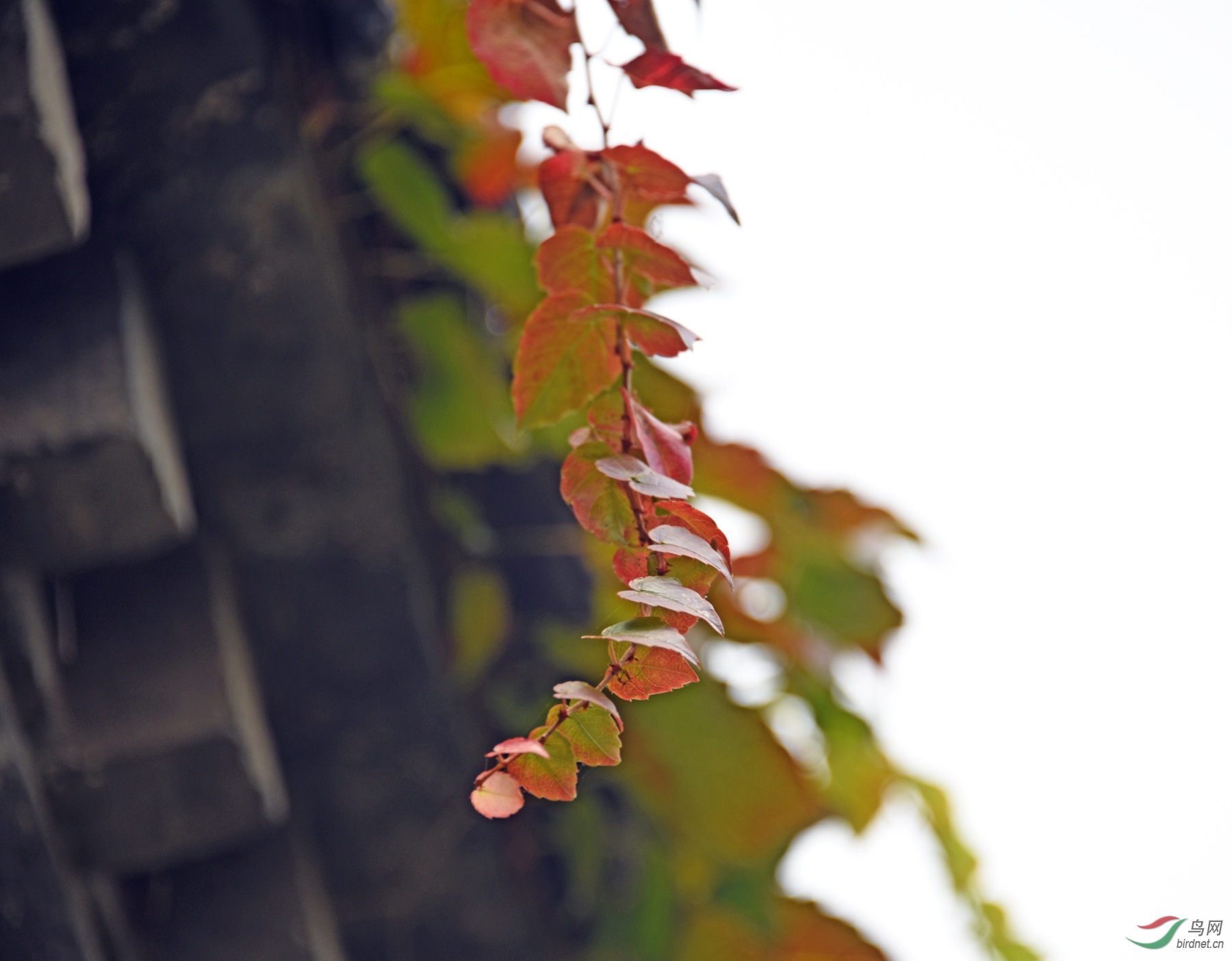 DSC_7061fb_����.jpg