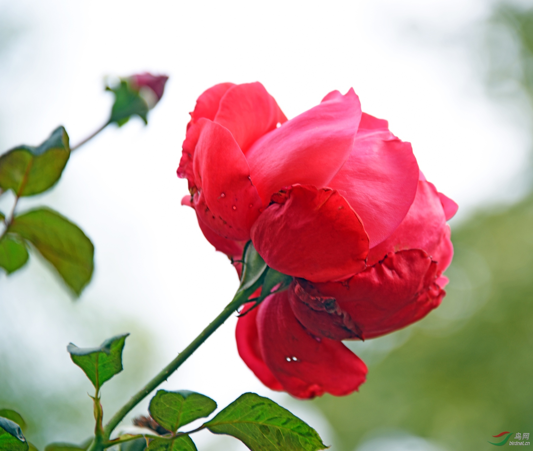 DSC_7075fb_����.jpg