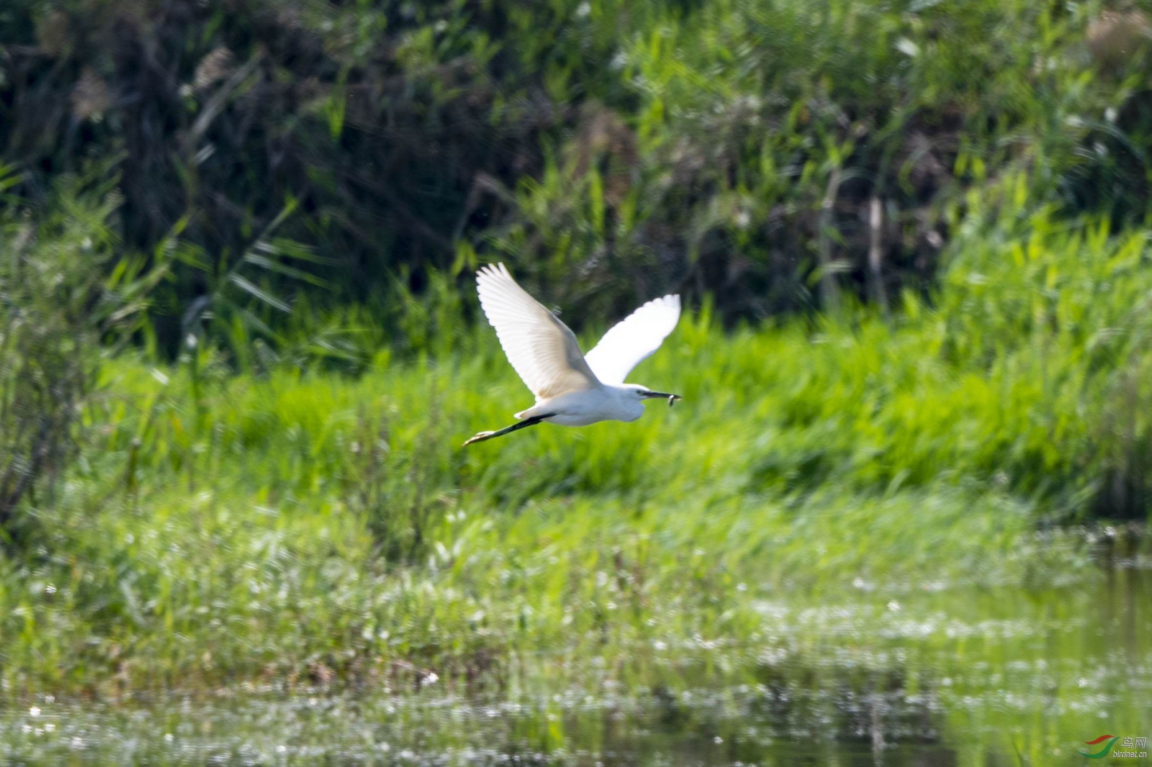 D50_4716.jpg