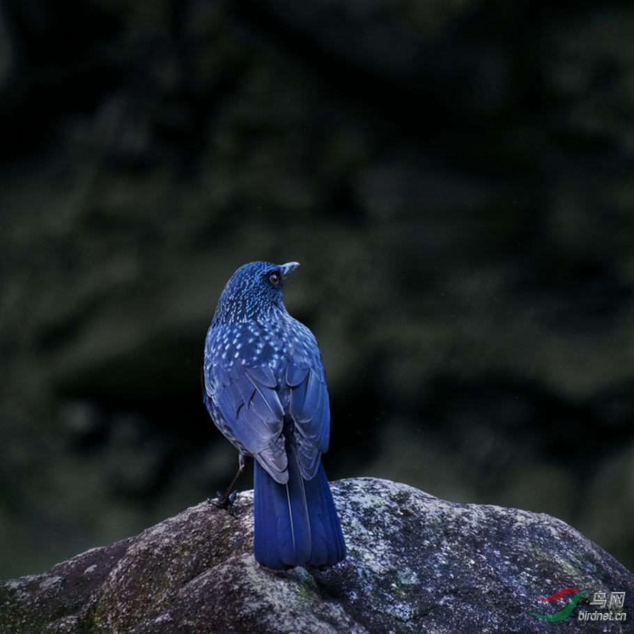 DSC_3475_����.jpg