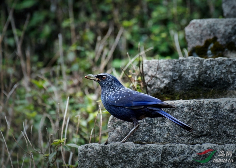 DSC_1294_����.jpg