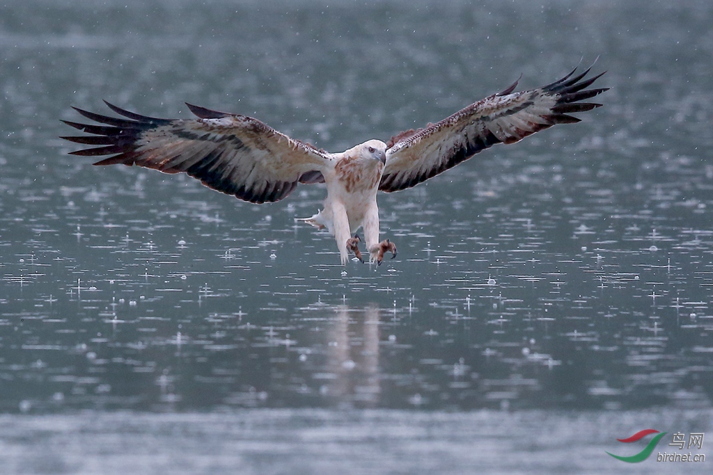 916A8932  01_����.jpg