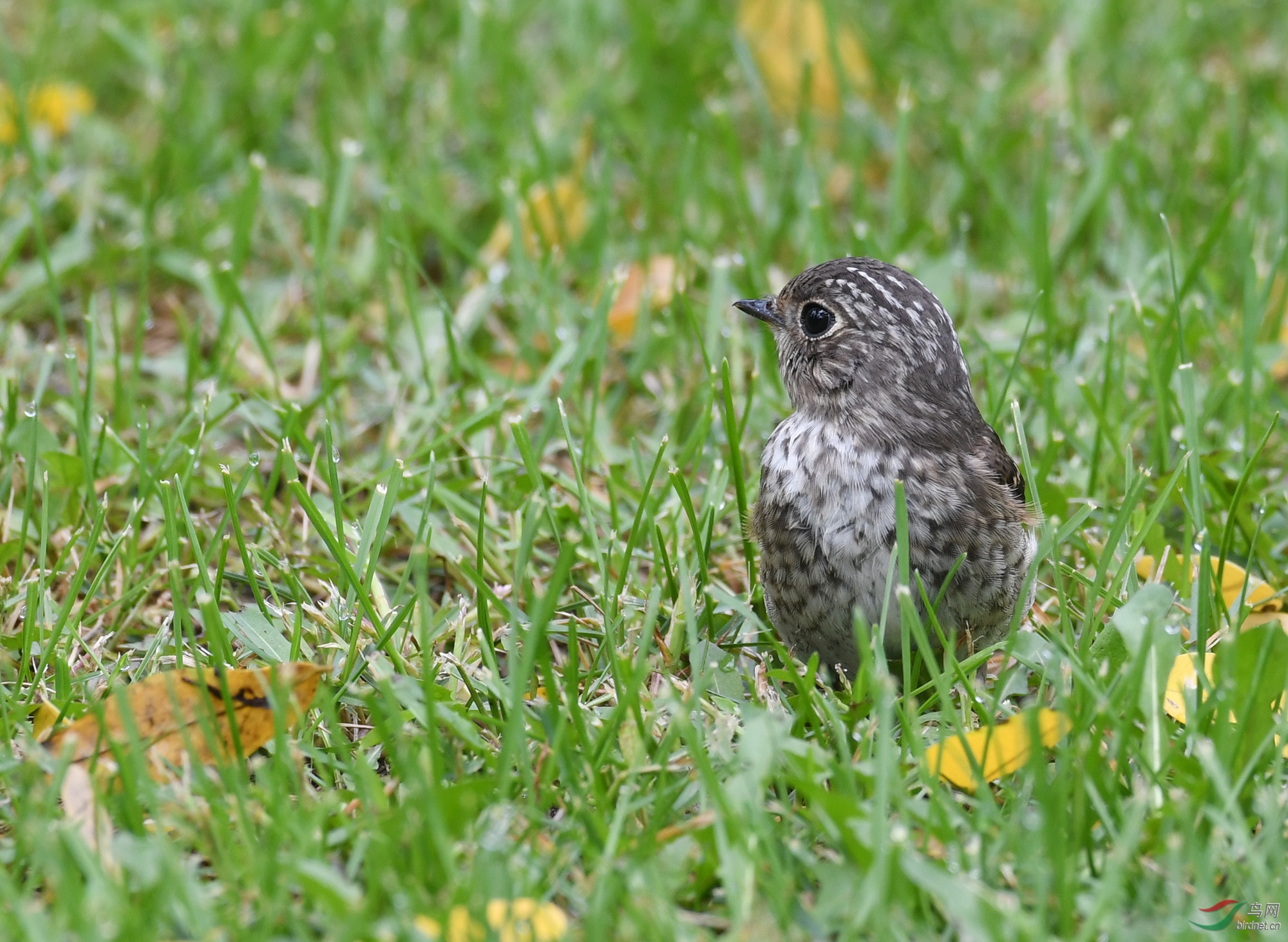 ������Ӱ 632����.jpg