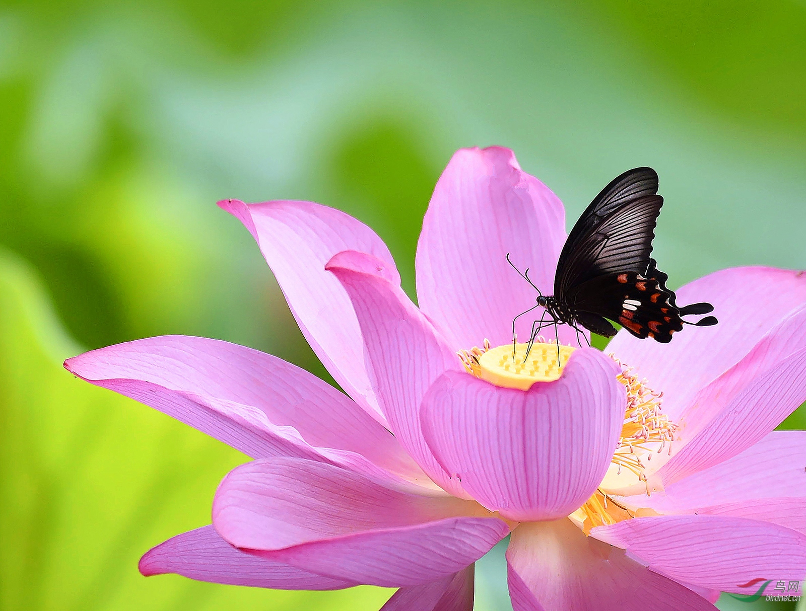 _DSC4446_副本 1.jpg