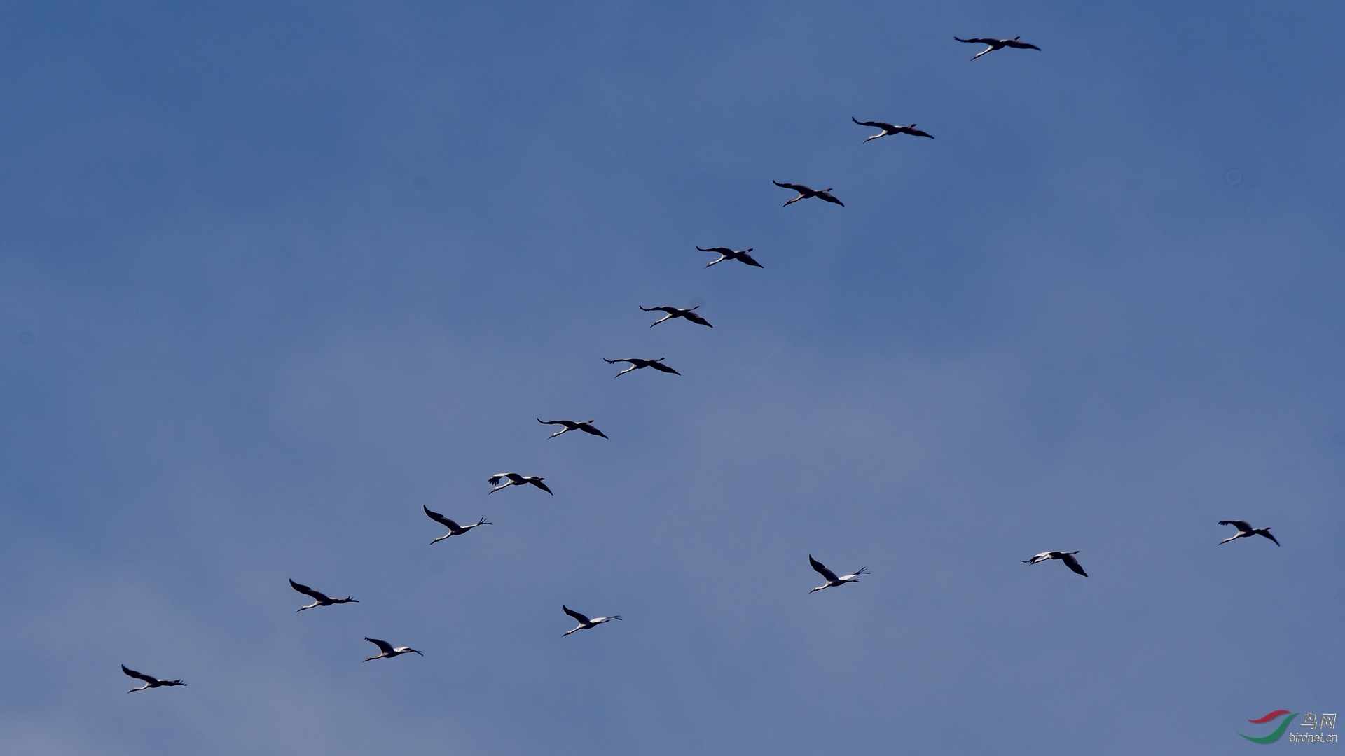 dsc_5457_����.jpg
