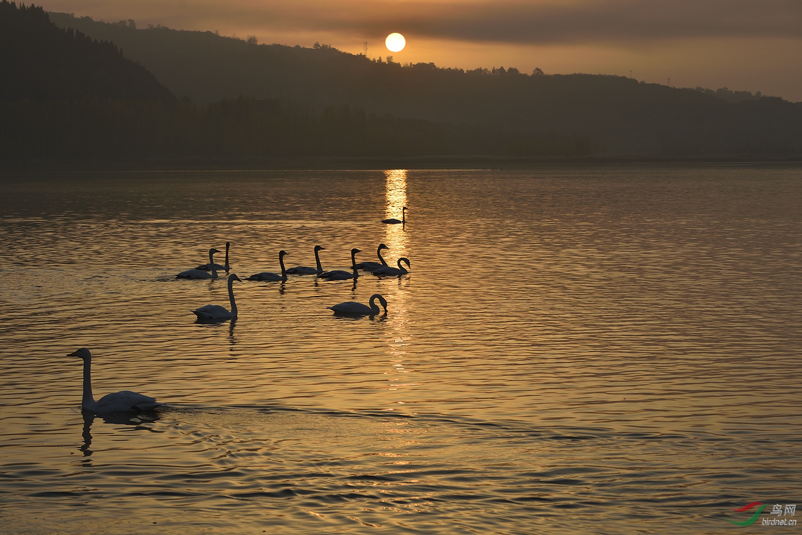 _D8A5920_11695a.jpg