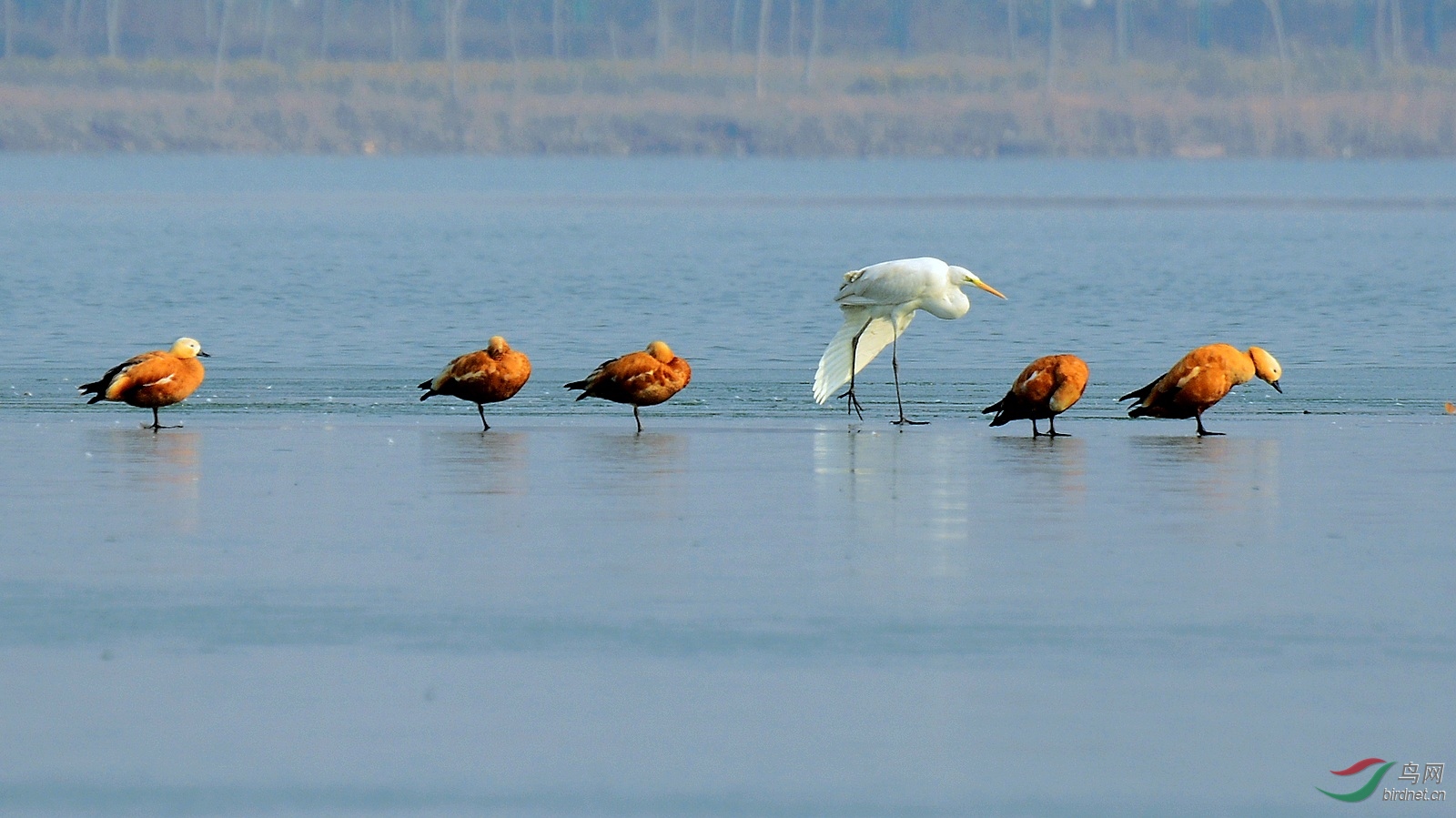 DSC_0284.JPG
