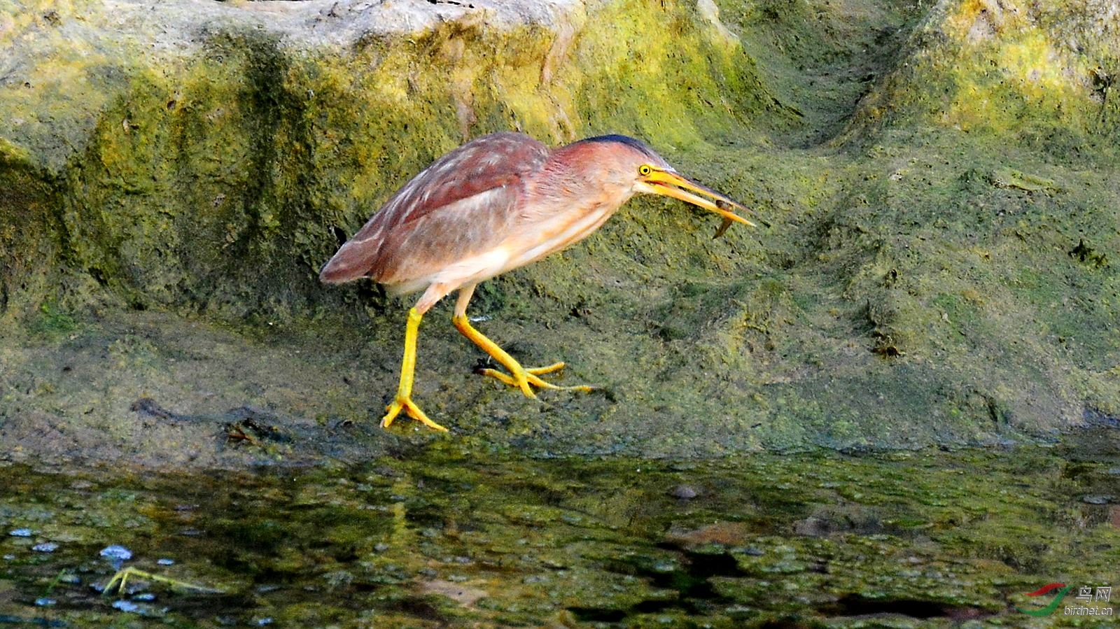 DSC_6349.JPG