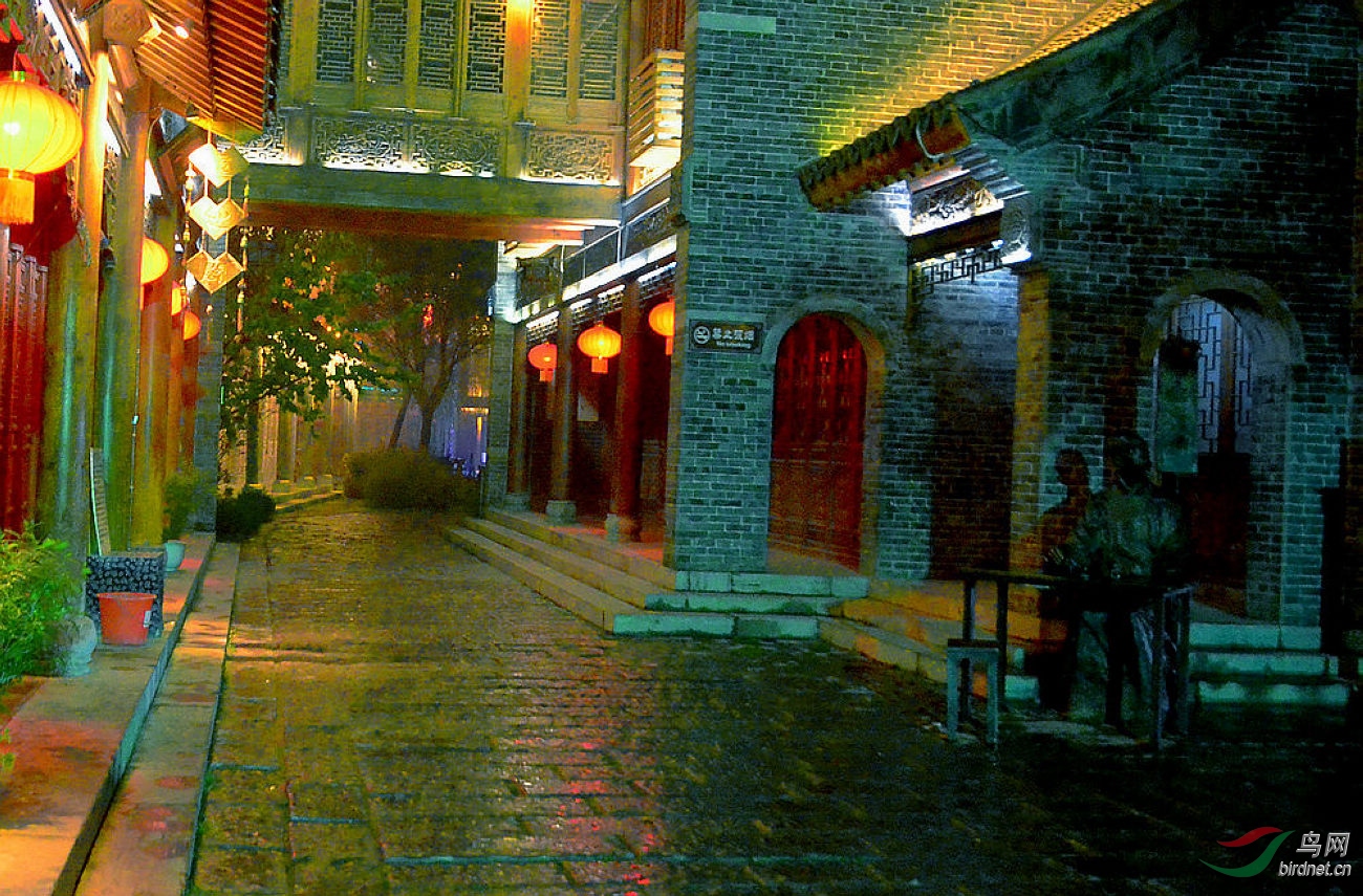 ҹ�����������  DSC_3121.JPG