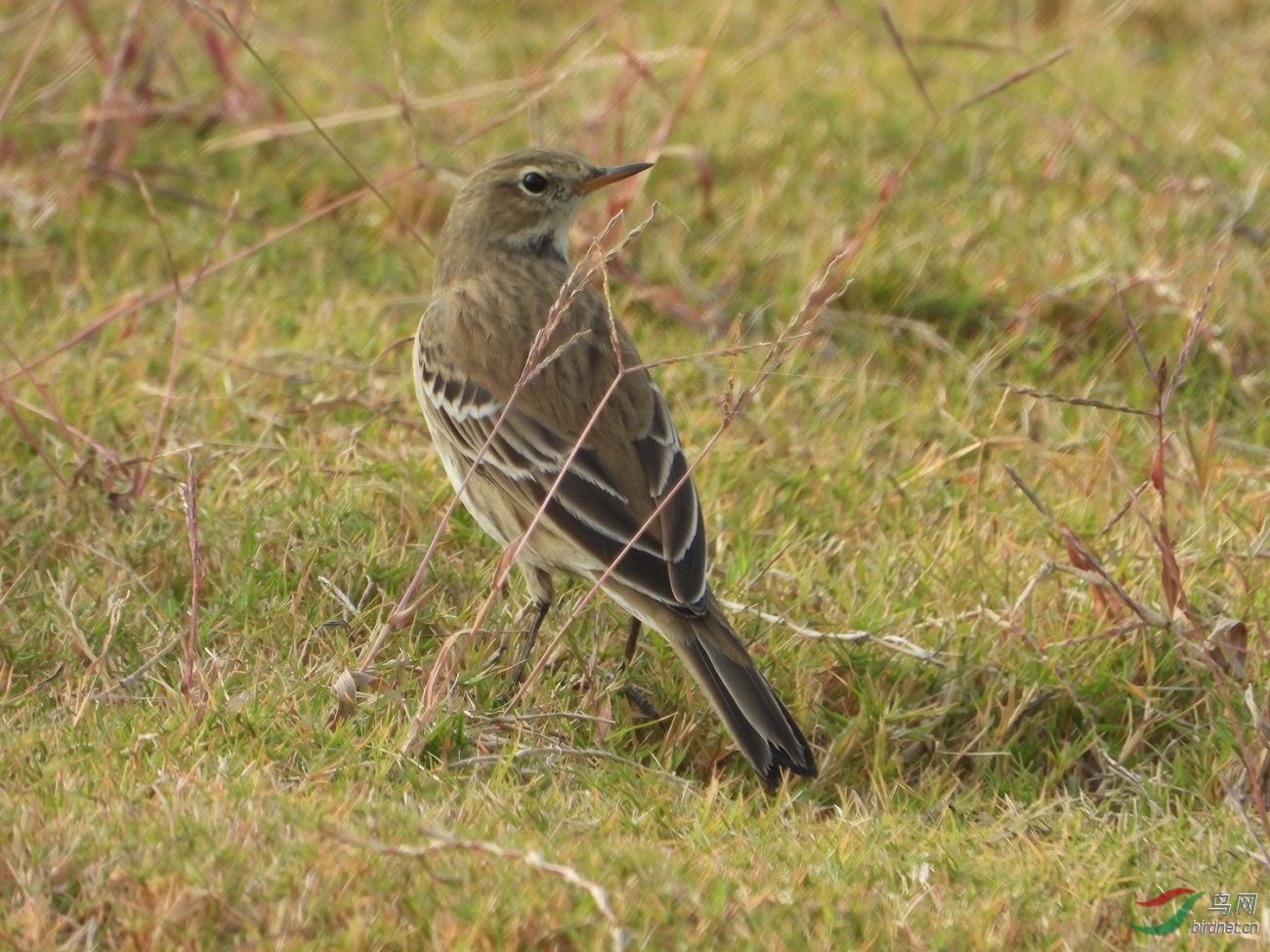 ˮ��-̫ƽ��-11.4-��³�� - ����.jpg