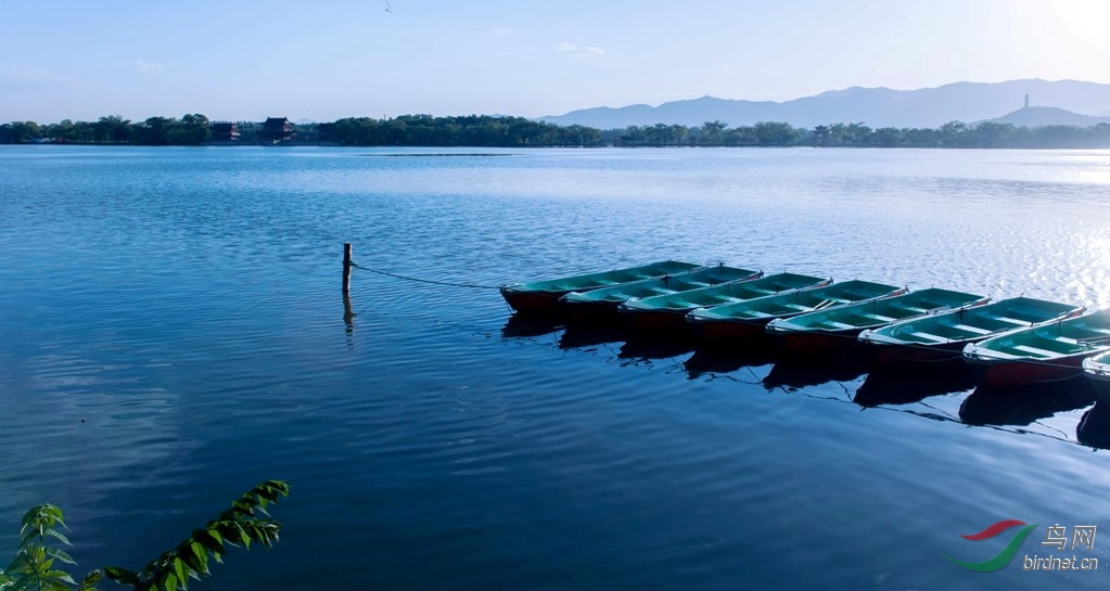 _MYG54782014-06-08.jpg
