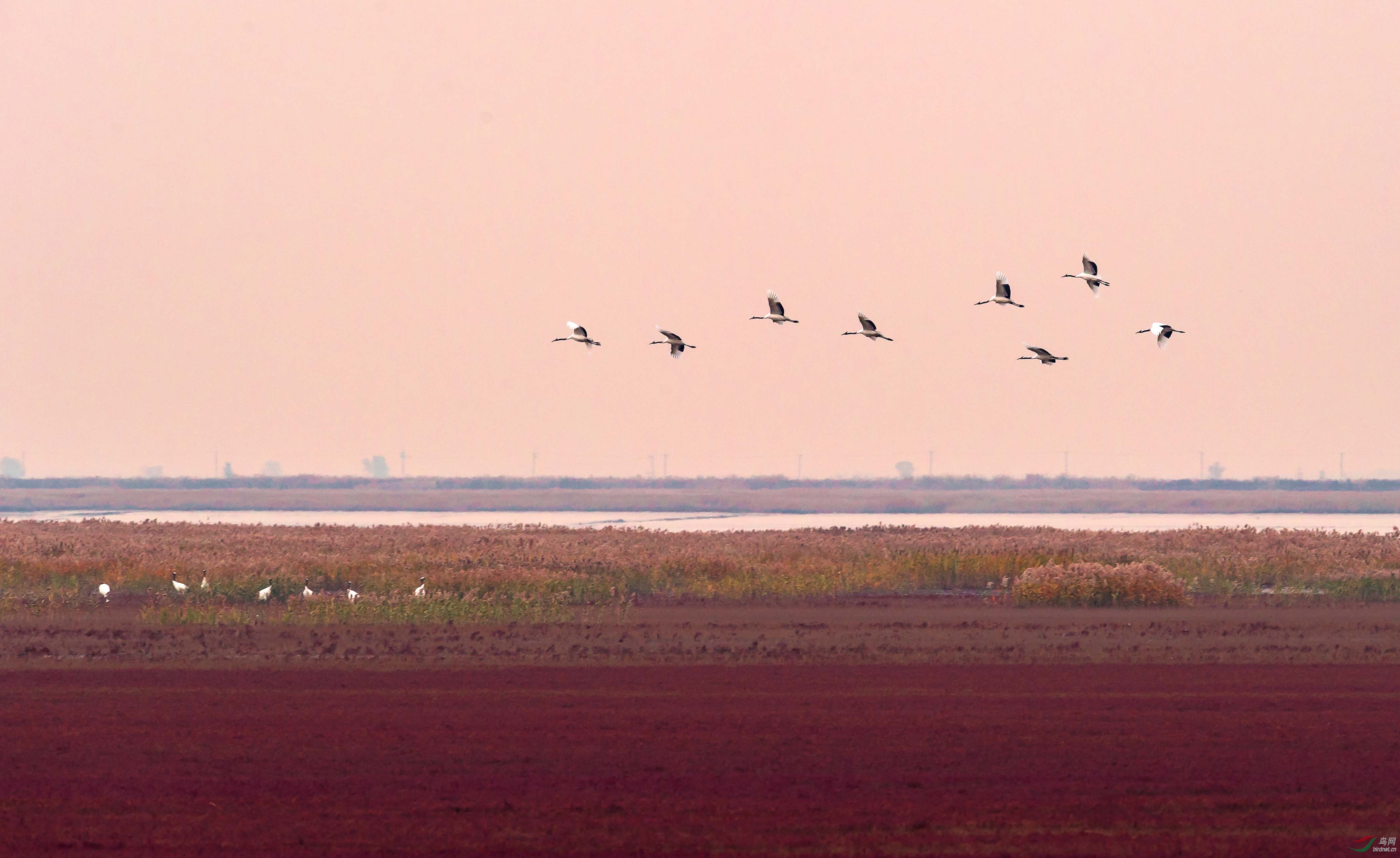 DSC_2035.jpg