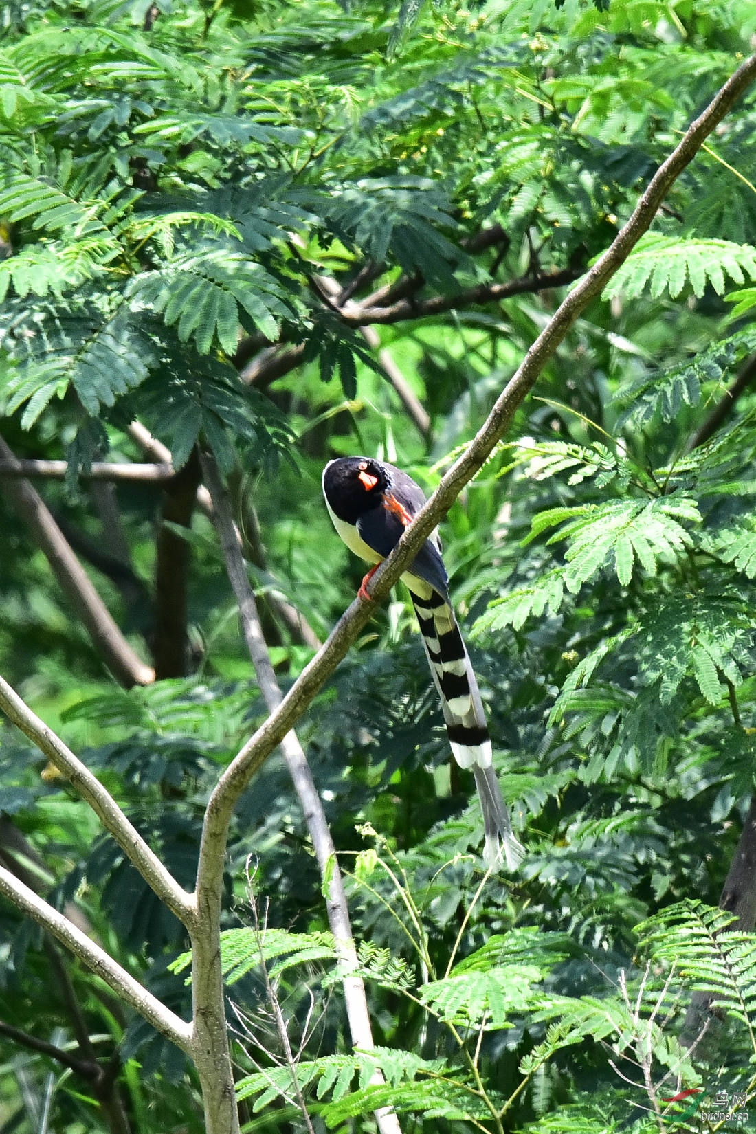 DSC_0676.JPG