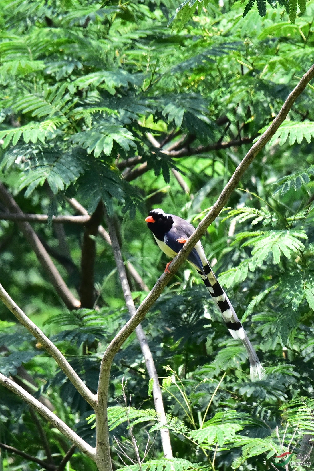 DSC_0677.JPG
