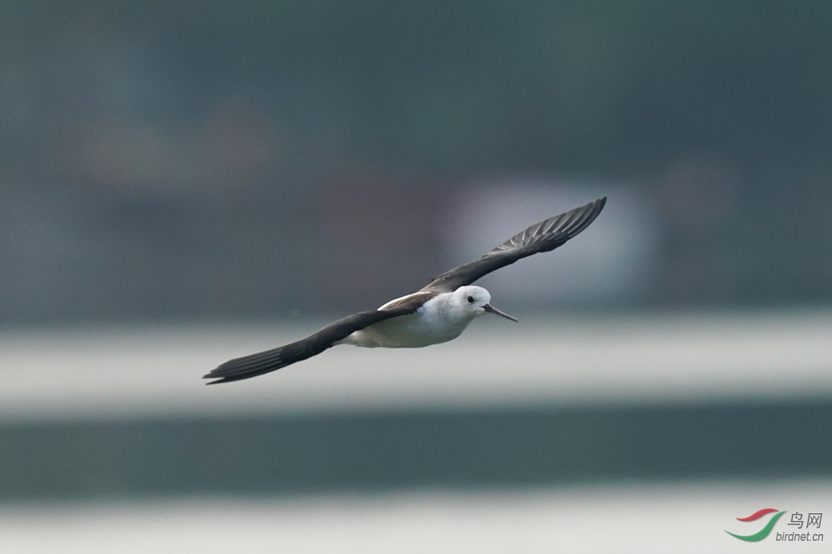 DSC02522 ����.jpg