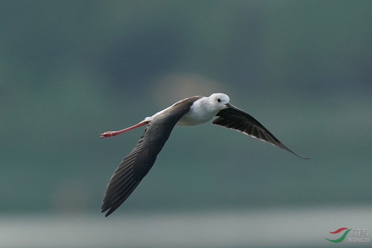 DSC02528 ����.jpg