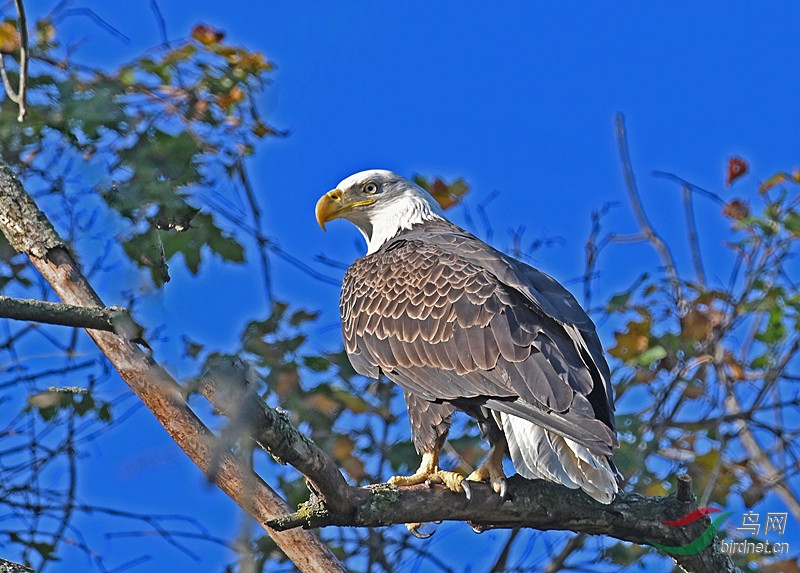 DSC_8761-_����.jpg