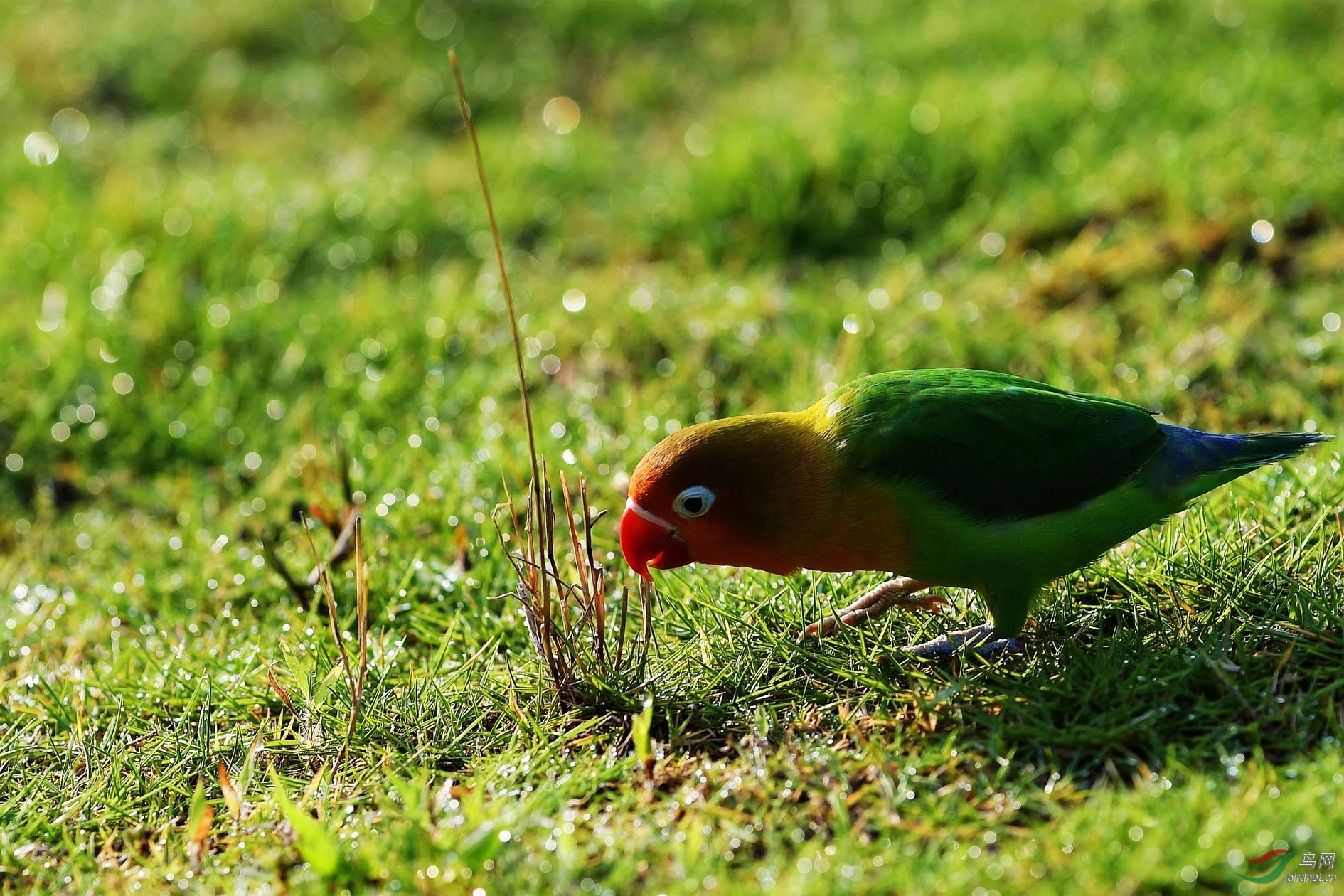 DSC_0386.JPG