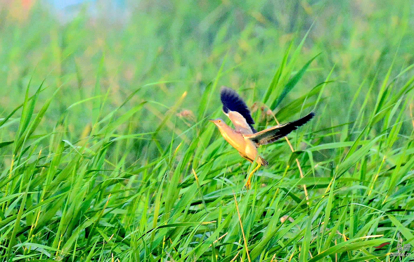DSC_5280.JPG