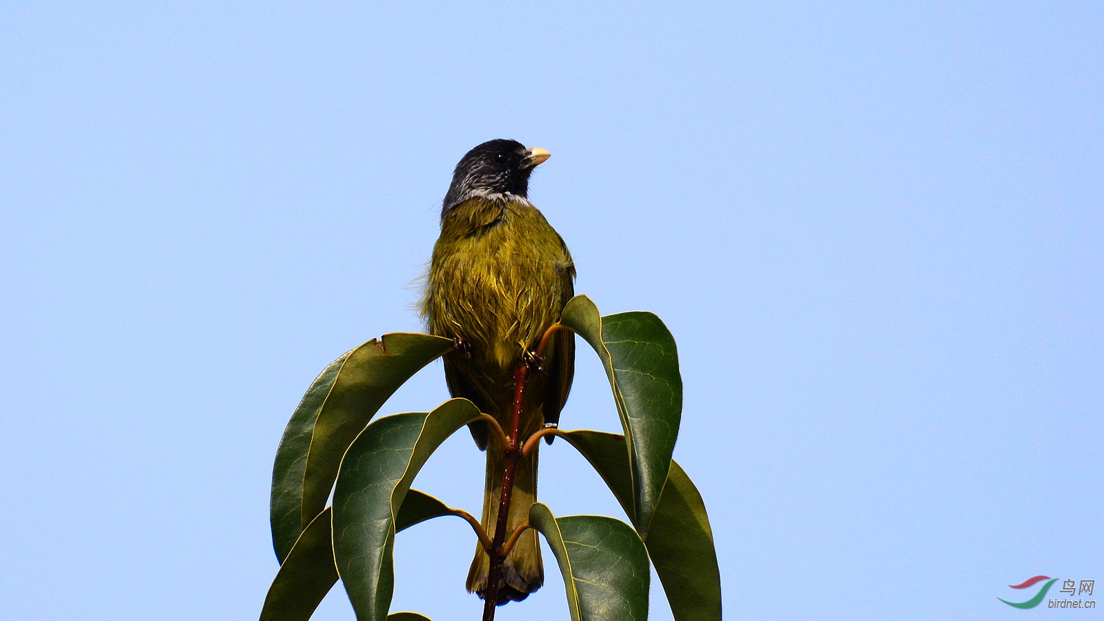 DSC_1436.JPG
