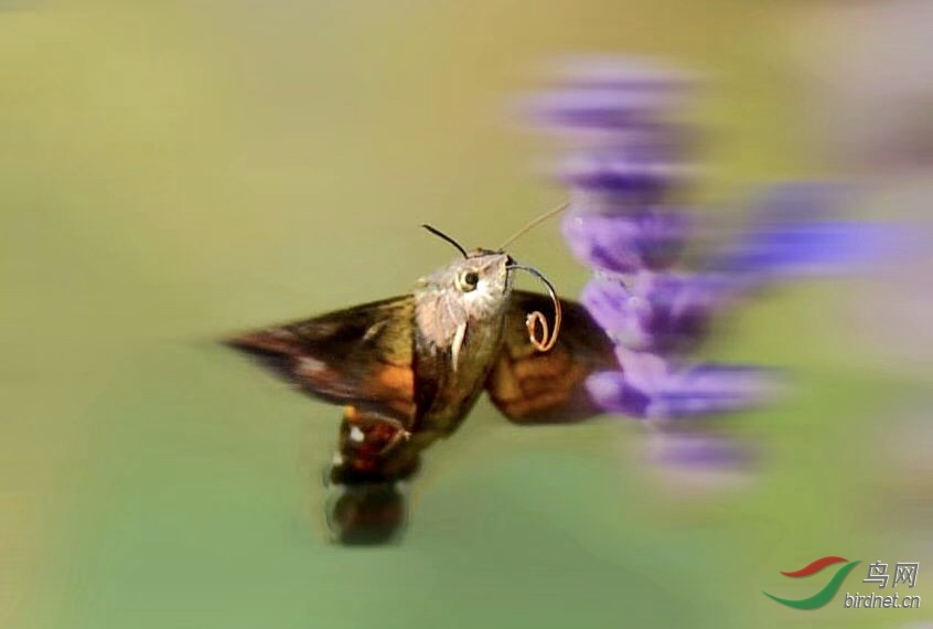 3E838D3B-2FCF-4A70-BBA3-2CAA24A66025.jpeg