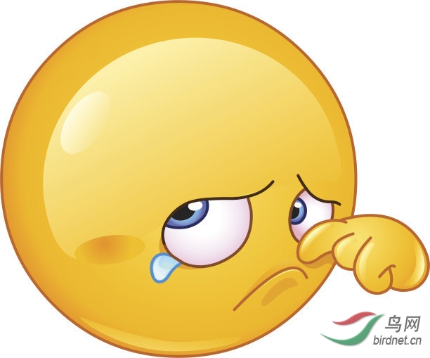 t014f2d5778ffad2fb5.jpg