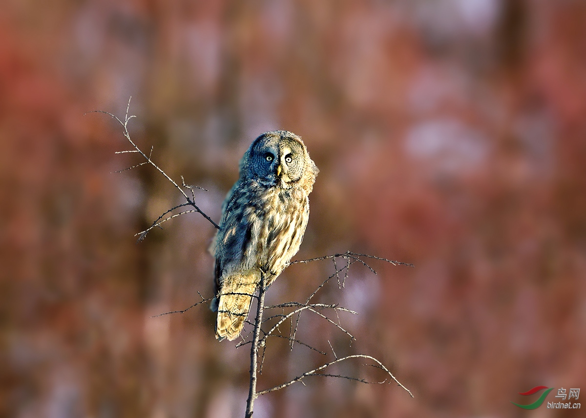 DSC_8601.jpg