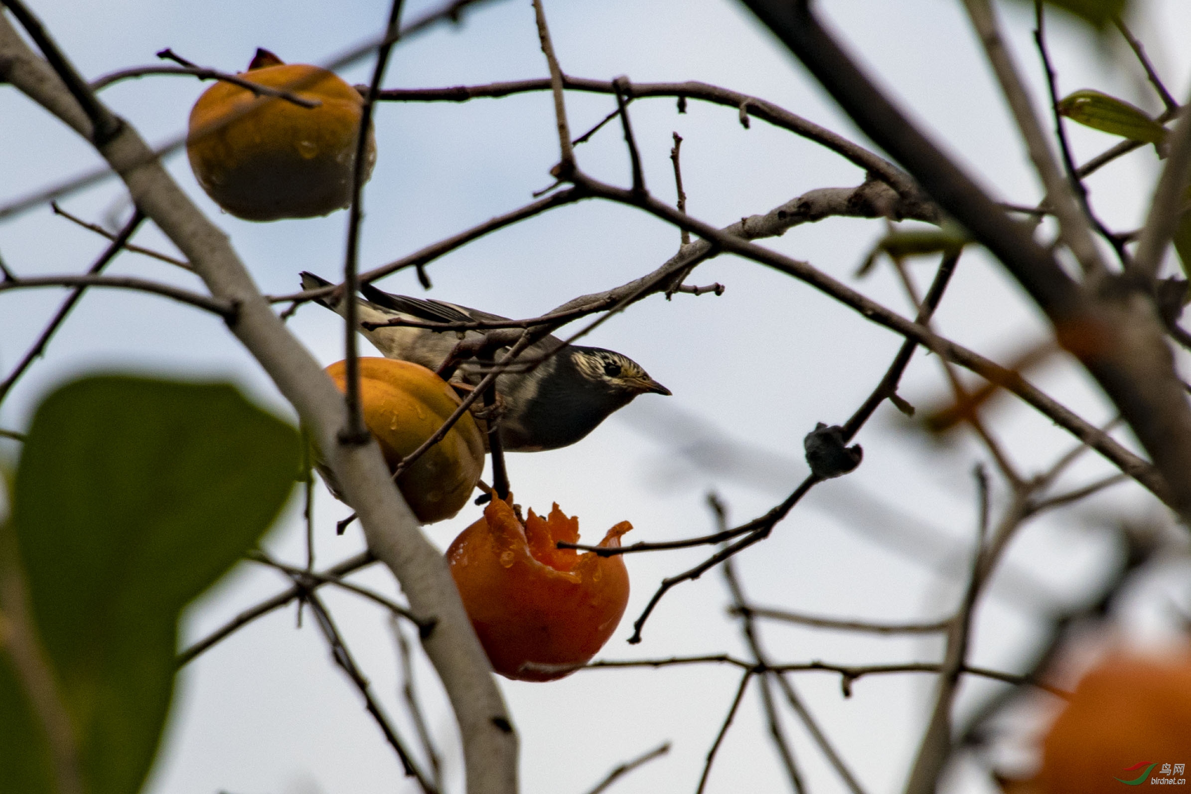 D50_5628.jpg