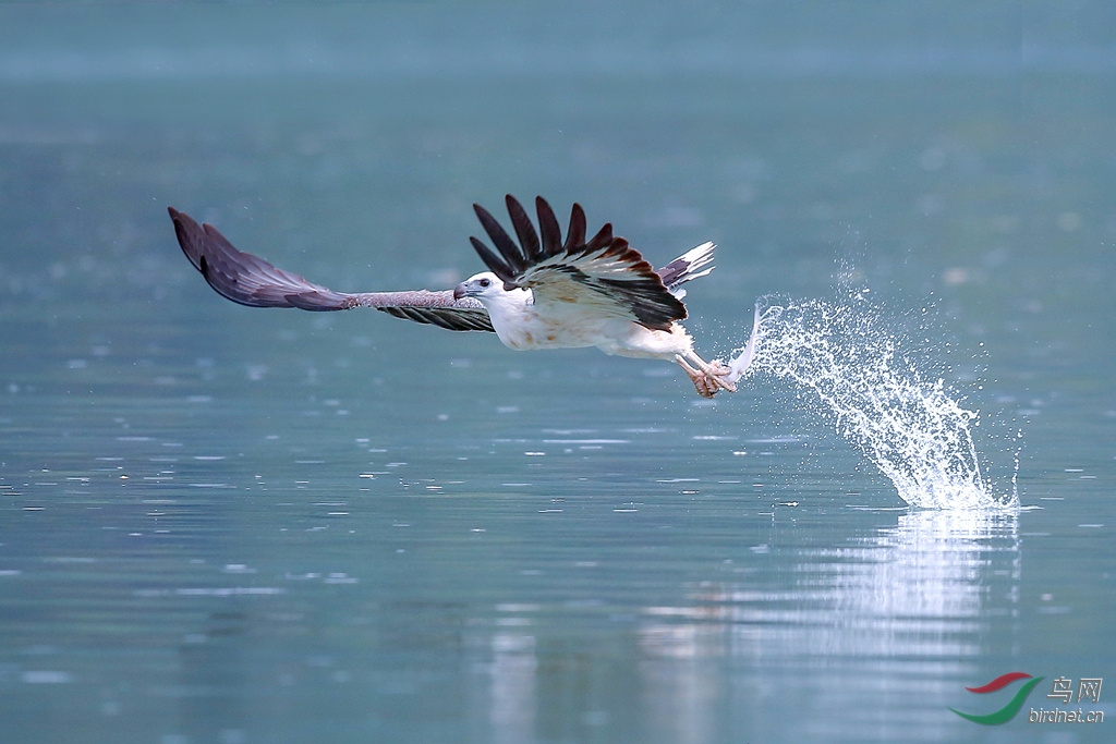 916A9196  01_����.jpg