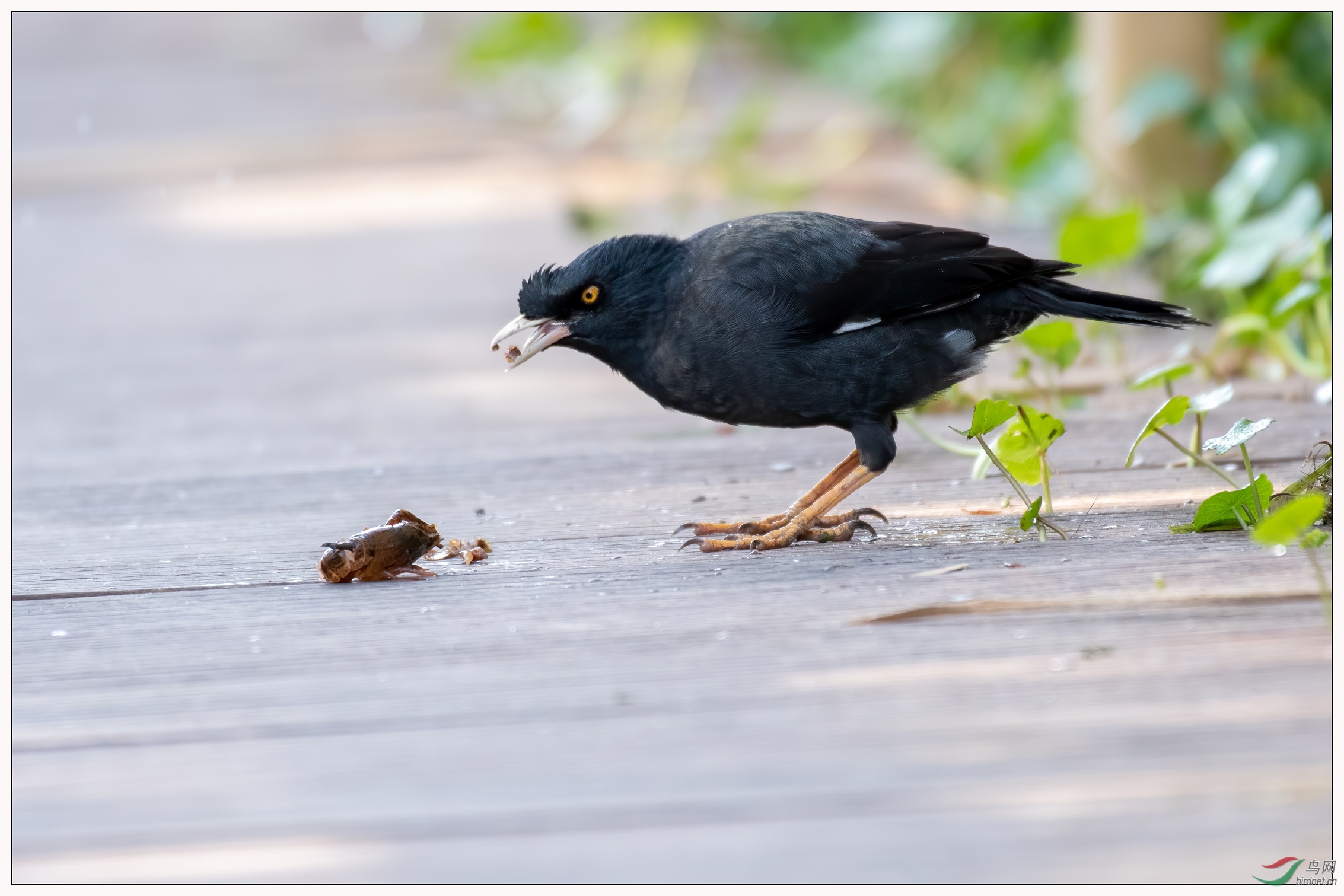 11������