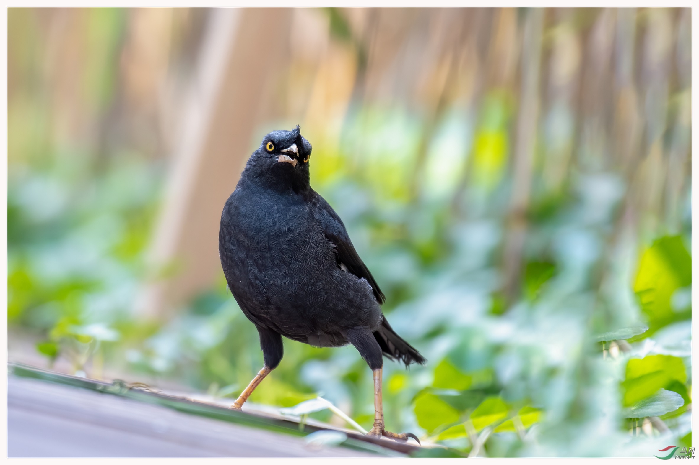 13���Ե���ˬ