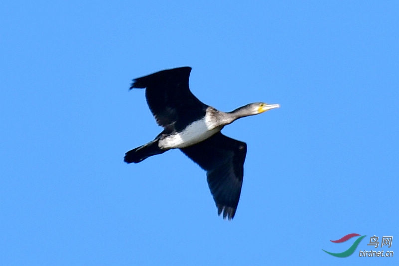 DSC_6804.jpg