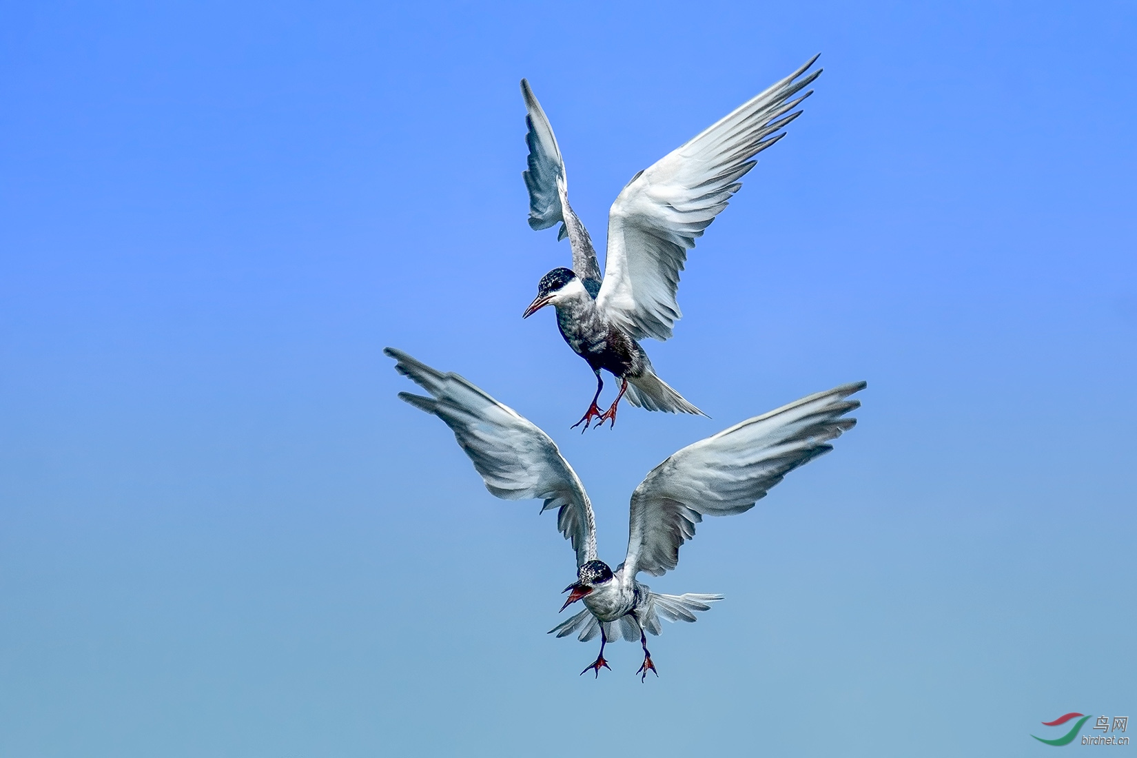DSC_1407-a.jpg