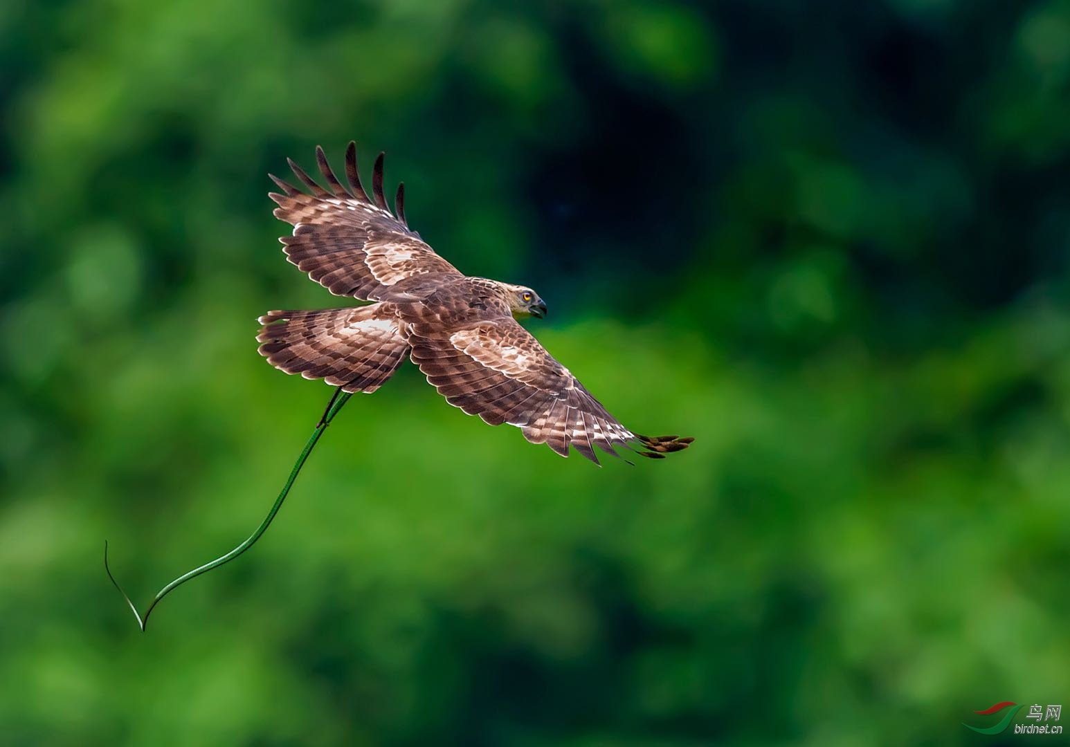 0014. 10699_���߷���_Ū��������.jpg