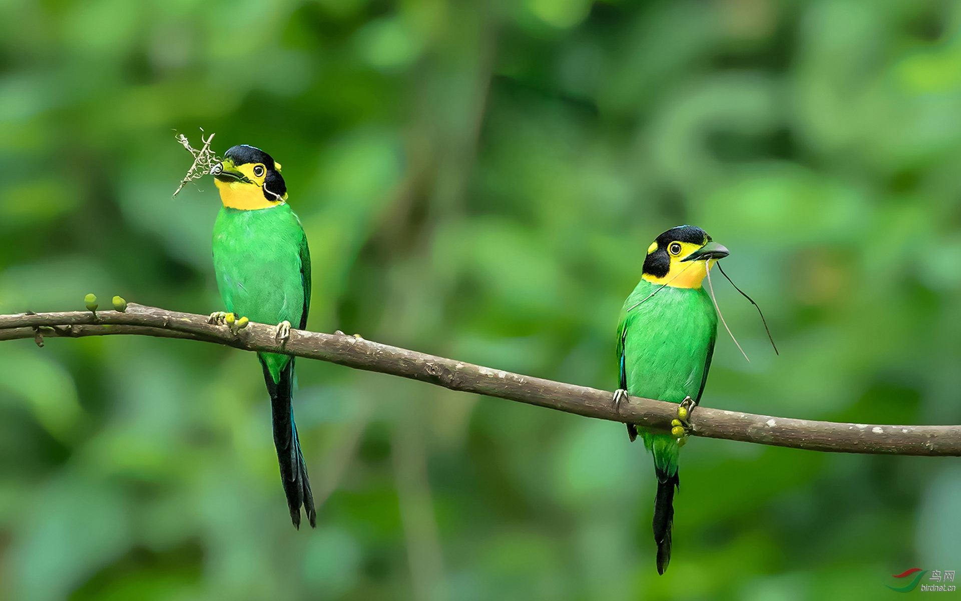 0034. 11220_��β������_Ū��������.jpg