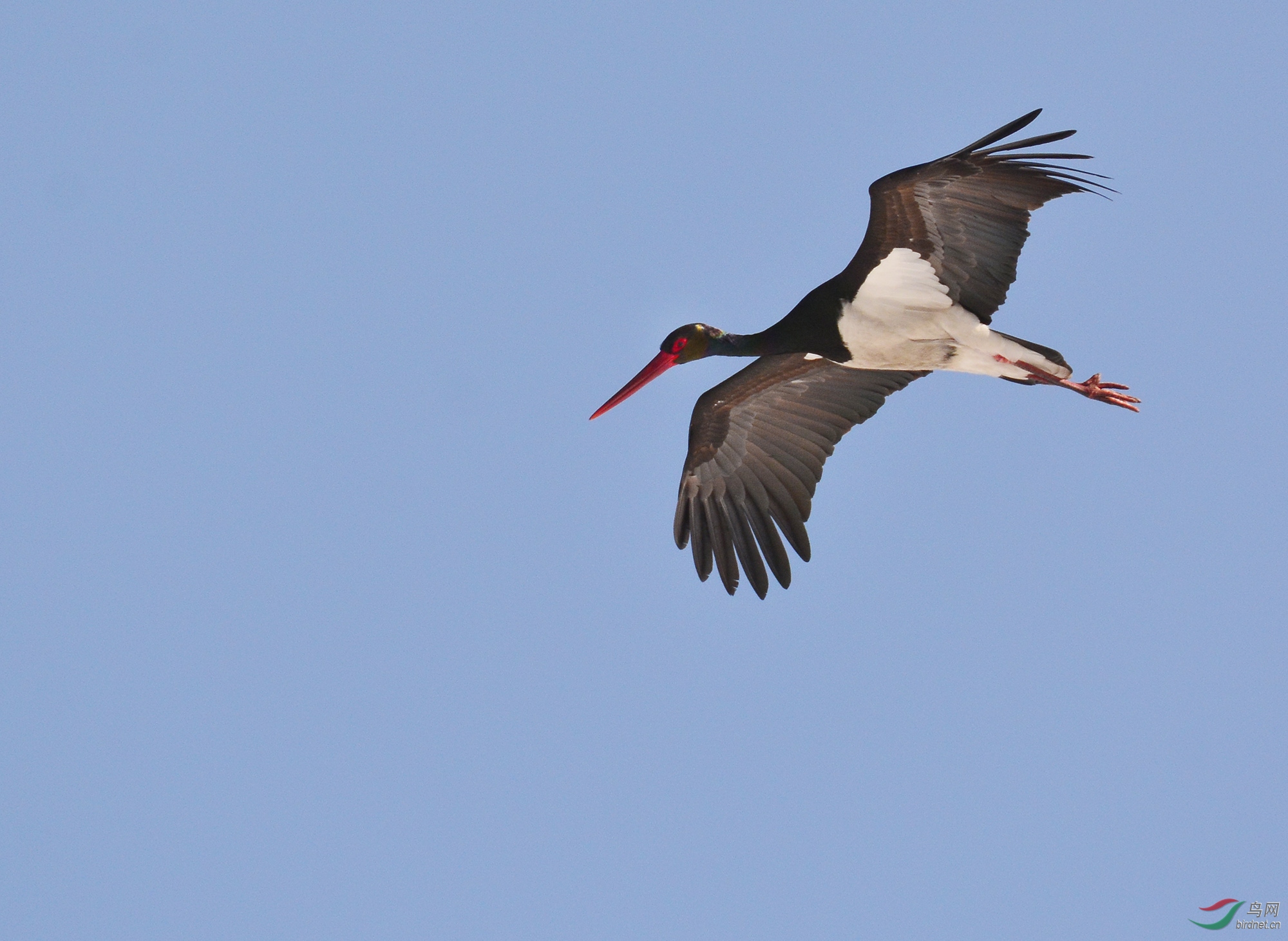 ������Ӱ 2220����.jpg