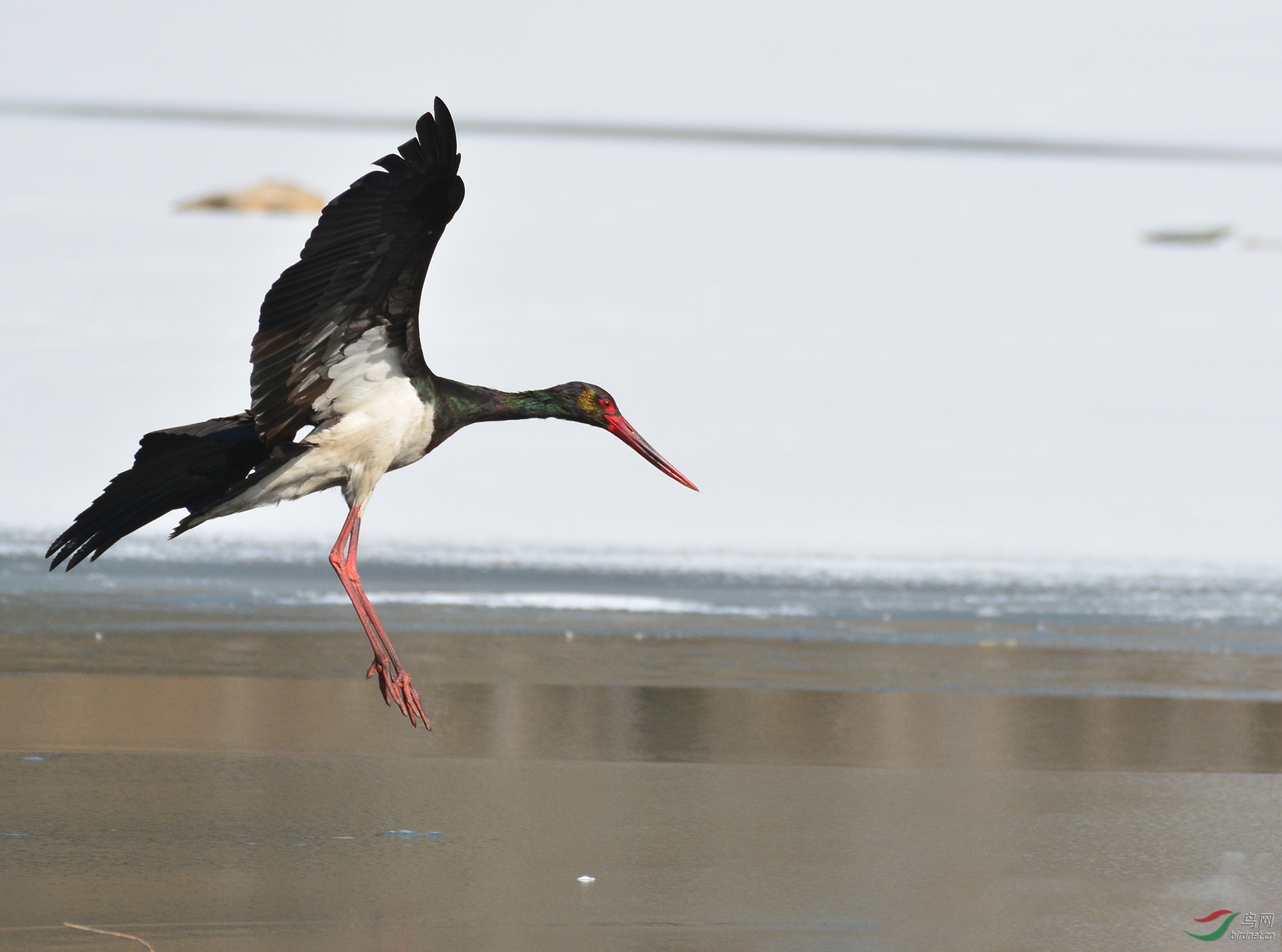 ������Ӱ 2176����.jpg