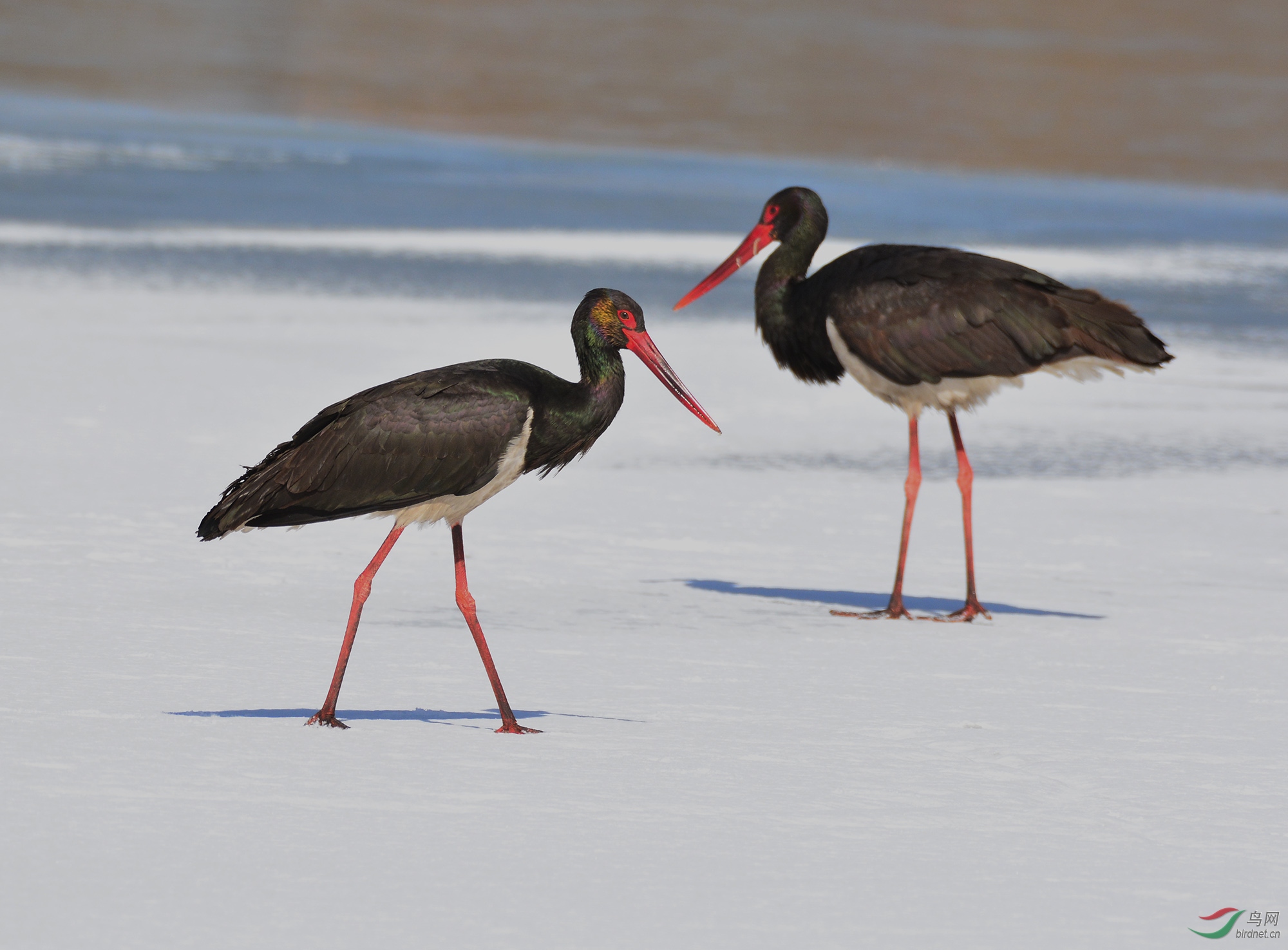 ������Ӱ 2147����.jpg